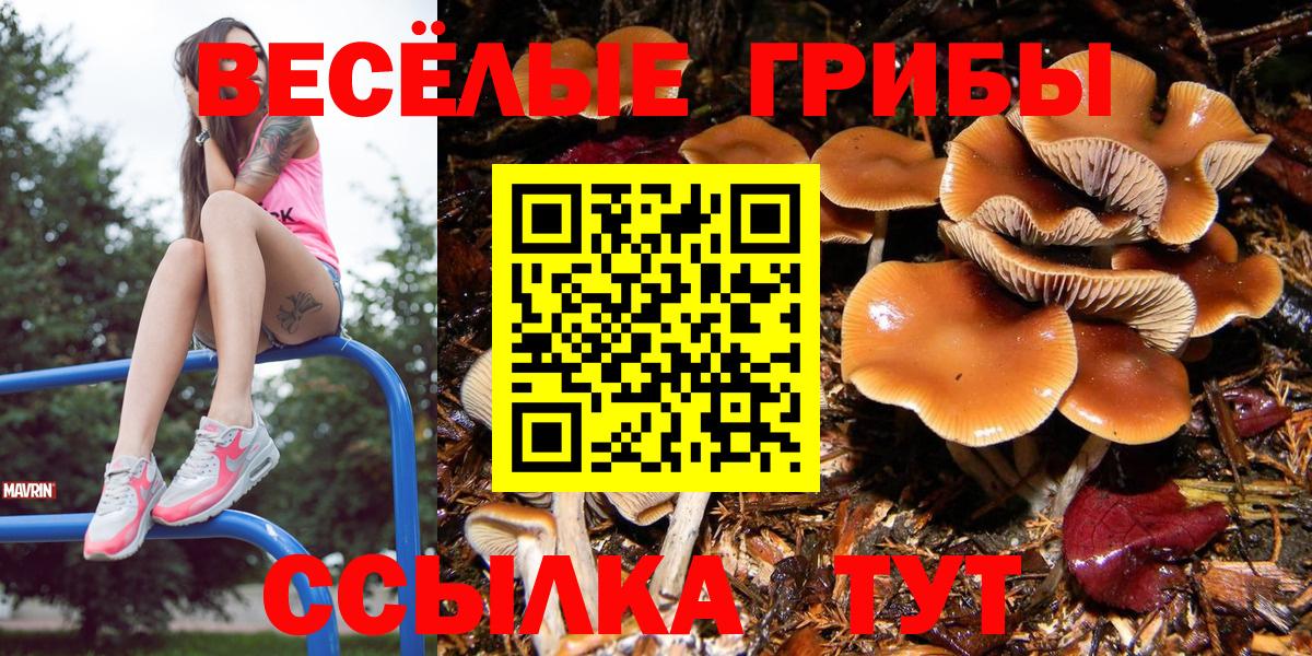 Учалы  Псилоцибиновые грибы Magic Shrooms  Вход с VPN 