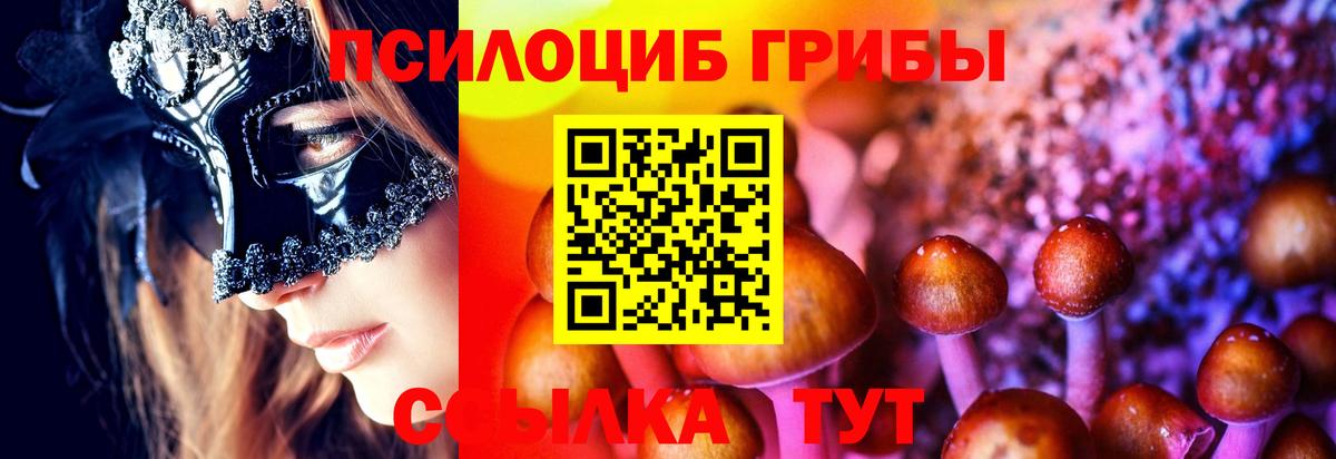 Псилоцибиновые грибы GOLDEN TEACHER Учалы